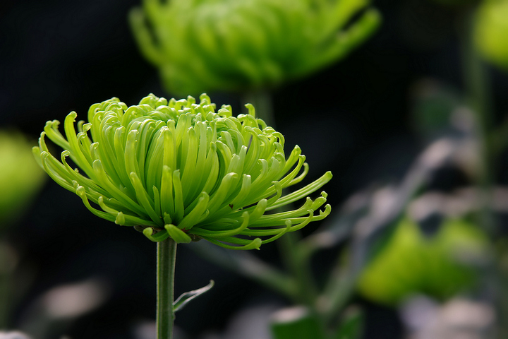 太阳成集团tyc7111cc