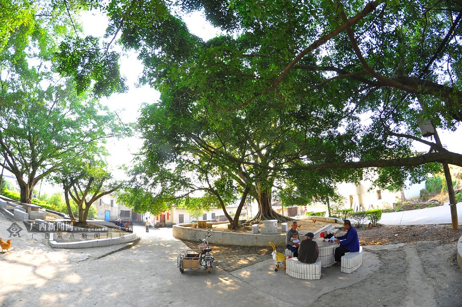 太阳成集团tyc7111cc_鲜咸菜 鲜黄花菜这些食物不能新鲜吃(图2) 太阳成集团tyc7111cc