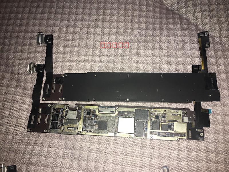 太阳成集团tyc7111cc-中药材三七面临危机三七的功效与作用(图2) 太阳成集团tyc7111cc