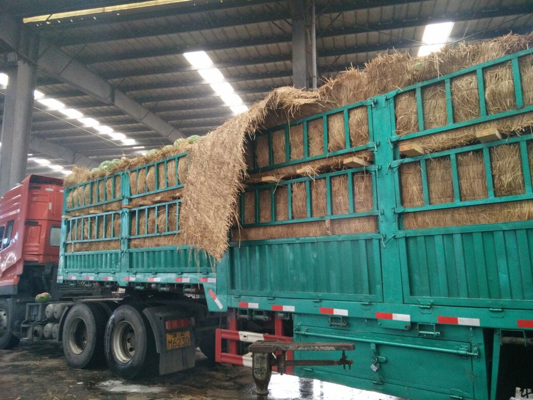 太阳成集团tyc7111cc