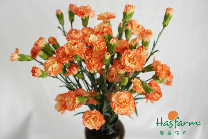 太阳成集团tyc7111cc-标准体重怎么计算?男女标准体重对照表(图3) 太阳成集团tyc7111cc