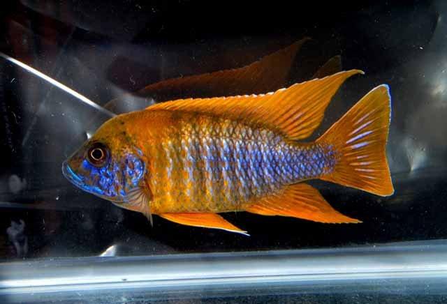 “太阳成集团tyc7111cc”叙军被曝S300导弹处于竖起状态或全面进入作战状态