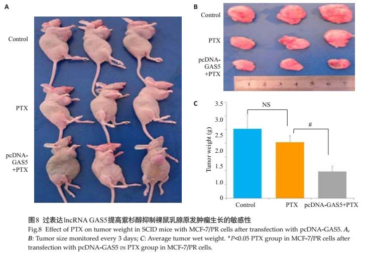 【太阳成集团tyc7111cc】上市公司必须尊重市场规则 切勿“灵活变通”(图4) 太阳成集团tyc7111cc