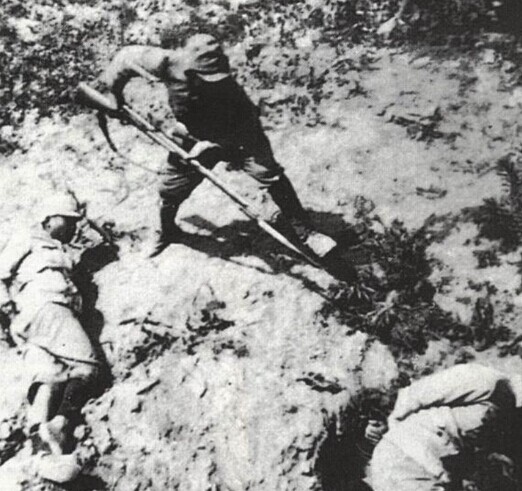 【太阳成集团tyc7111cc】药品管理再添新目录CFDA酝酿处方药网上销售目录