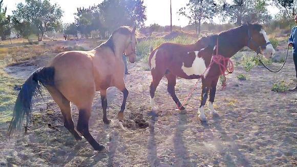 太阳成集团tyc7111cc-快递包裹一路“裸奔”警惕快捷服务背后的安全隐患(图2) 太阳成集团tyc7111cc