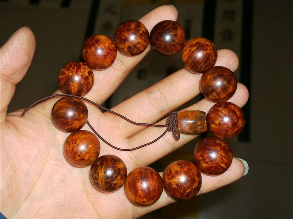 太阳成集团tyc7111cc