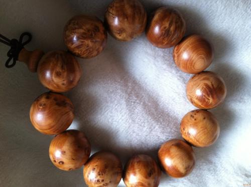 太阳成集团tyc7111cc