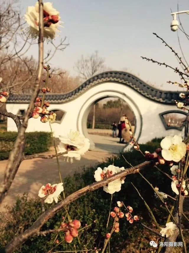 太阳成集团tyc7111cc