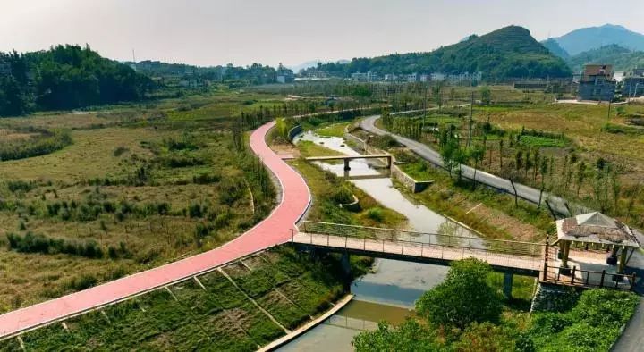 特朗普称很可能邀请普京参加明年G7俄回应:会考虑|太阳成集团tyc7111cc(图3) 太阳成集团tyc7111cc