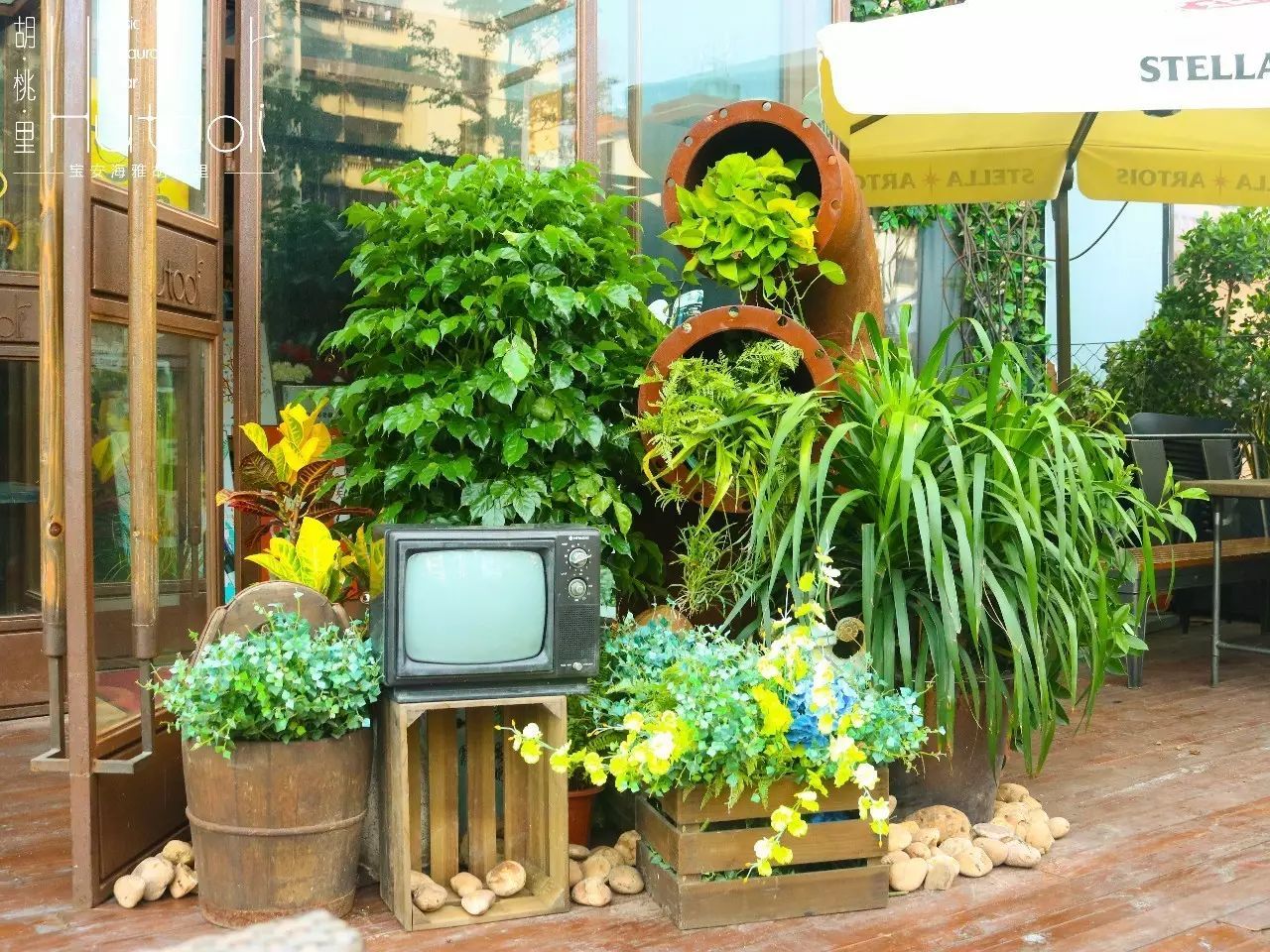 太阳成集团tyc7111cc