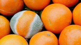 太阳成集团tyc7111cc