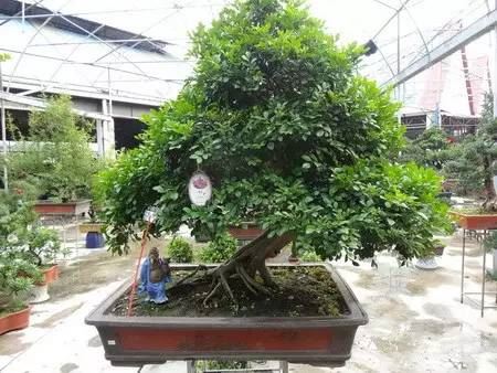 太阳成集团tyc7111cc_快递实名制遇冷快递员:非违禁品不需实名认证(图2) 太阳成集团tyc7111cc