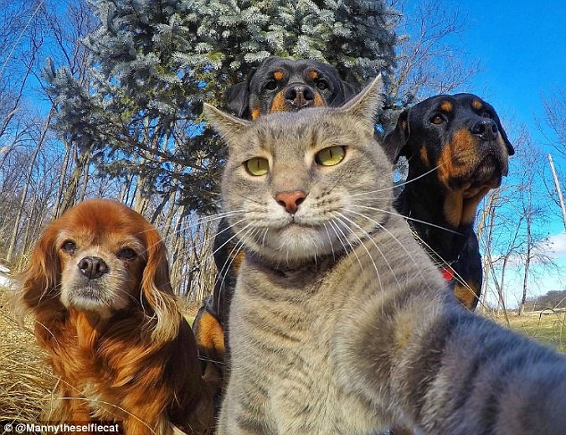 太阳成集团tyc7111cc:快递点设进了厂房(图4) 太阳成集团tyc7111cc