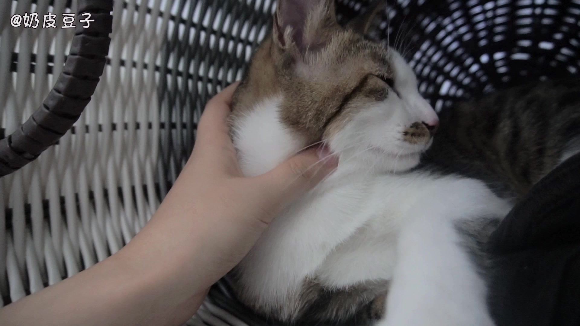 太阳成集团tyc7111cc