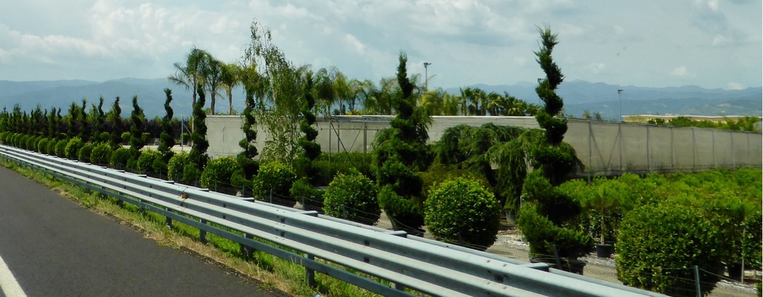 太阳成集团tyc7111cc