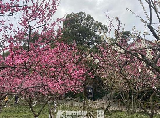 太阳成集团tyc7111cc-免费保管覆盖全国75城,苏、粤、鲁最爱菜鸟驿站包裹服务(图3) 太阳成集团tyc7111cc