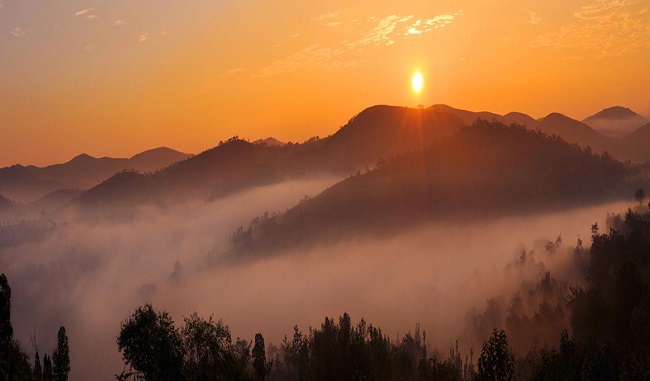 太阳成集团tyc7111cc-免费保管覆盖全国75城,苏、粤、鲁最爱菜鸟驿站包裹服务(图4) 太阳成集团tyc7111cc