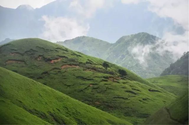 太阳成集团tyc7111cc