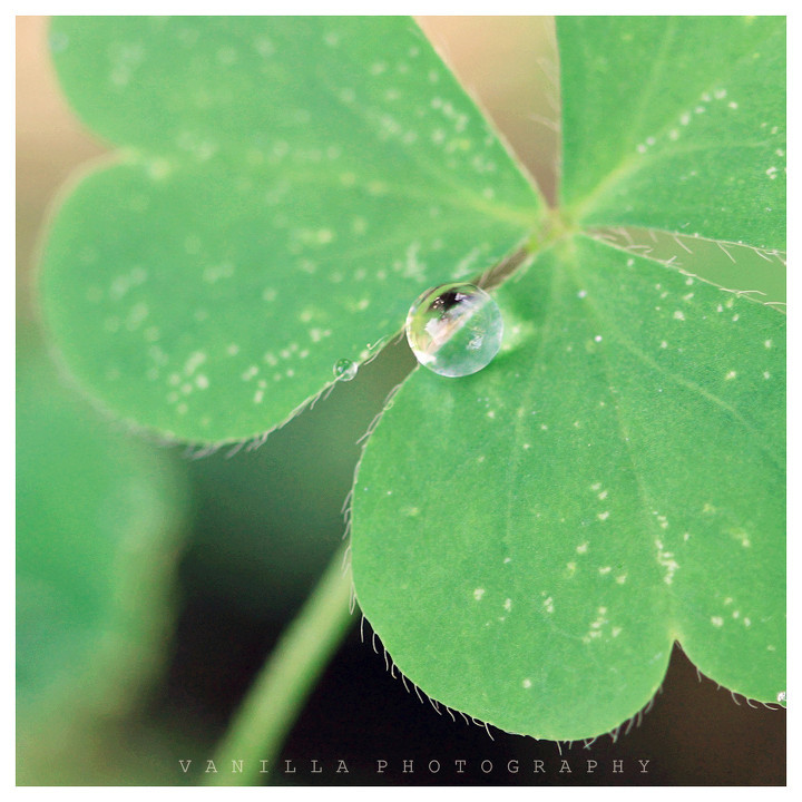 ‘太阳成集团tyc7111cc’
“九章”问世 俄罗斯人看中军事潜能：中国的时代到了