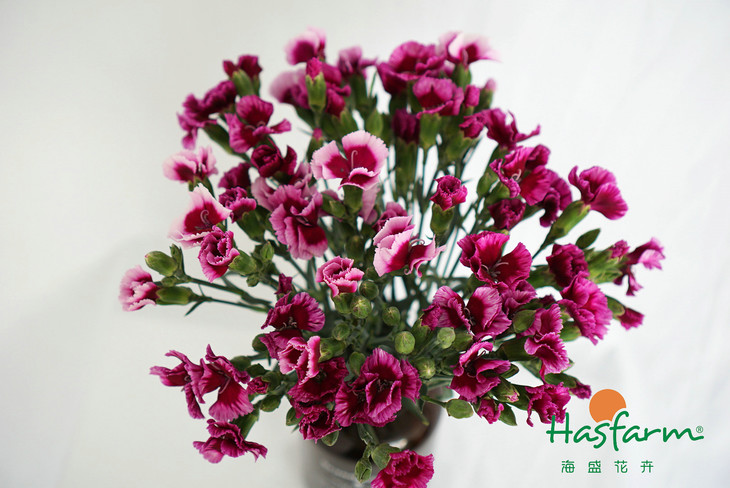 技术布局迎来持续收获，京东物流包揽2019智能物流三项大奖“太阳成集团tyc7111cc”