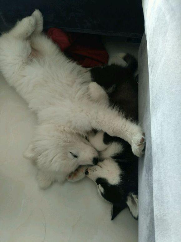 “太阳成集团tyc7111cc”产妇在手术台大出血死亡主治医生护士集体失踪