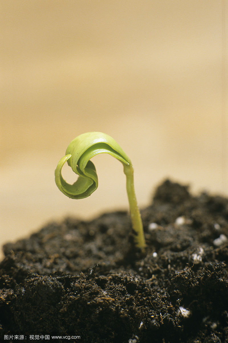 ‘太阳成集团tyc7111cc’22岁男子乳房“发育”成“B罩杯”