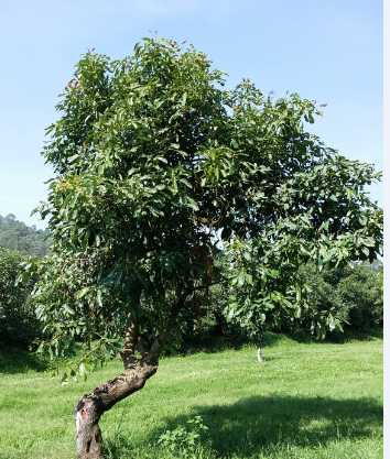 太阳成集团tyc7111cc