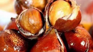 太阳成集团tyc7111cc|第十二届“药明康德生命化学研究奖”揭晓