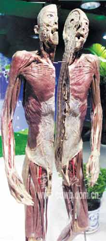 太阳成集团tyc7111cc