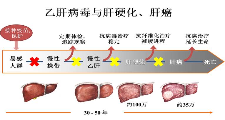 其实并不是所有水果都适合煮熟吃“太阳成集团tyc7111cc”