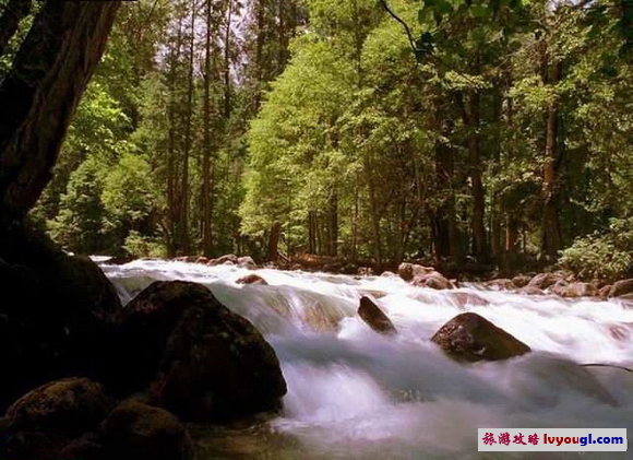 太阳成集团tyc7111cc