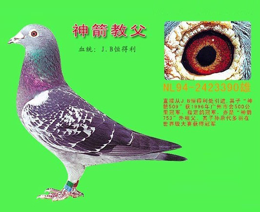 上海食药监局：福喜有组织安排用过期肉“太阳成集团tyc7111cc”