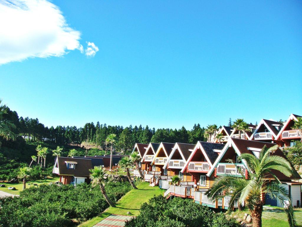 致敬当代骑侠——7月4日，是你们的节日：太阳成集团tyc7111cc