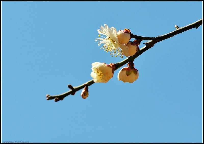 央视曝光后，这家医院被火速关停，释放了哪些信号？_太阳成集团tyc7111cc