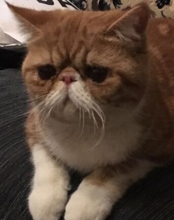 太阳成集团tyc7111cc