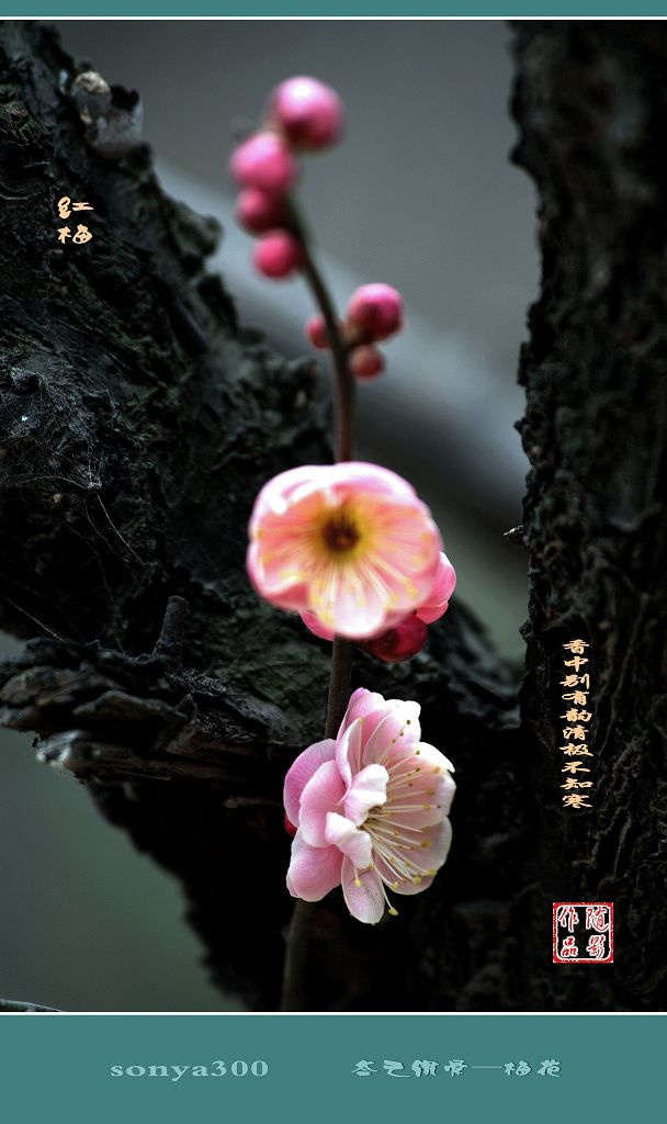 晚上运动降低食欲又助眠“太阳成集团tyc7111cc”