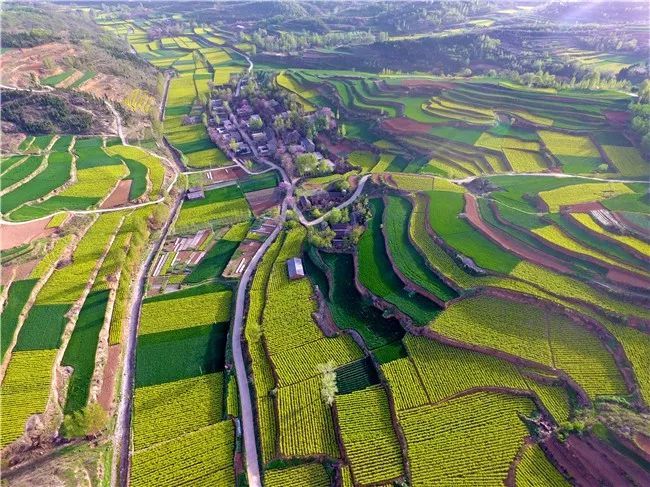 太阳成集团tyc7111cc