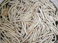 太阳成集团tyc7111cc