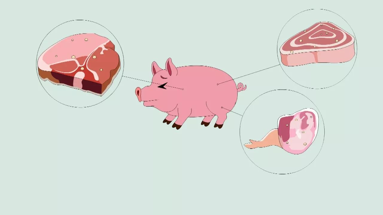 “双12”来了， 快递公司称“压力不大”-太阳成集团tyc7111cc