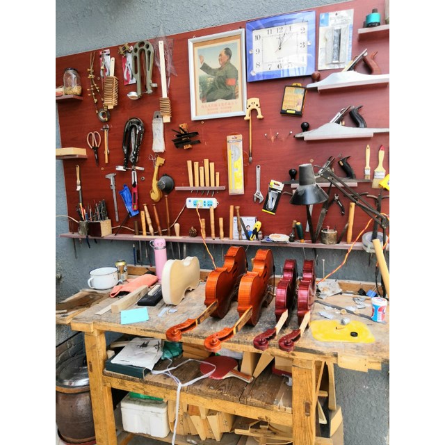 胃会被越撑越大，越饿越小吗？_太阳成集团tyc7111cc