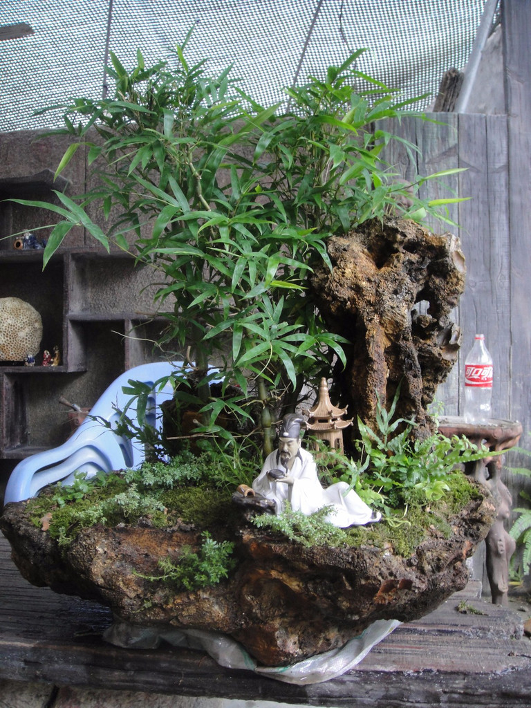 中国确诊裂谷热病例会通过蚊子传播‘太阳成集团tyc7111cc’