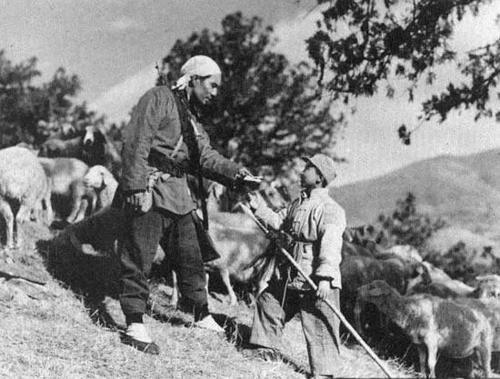 太阳成集团tyc7111cc