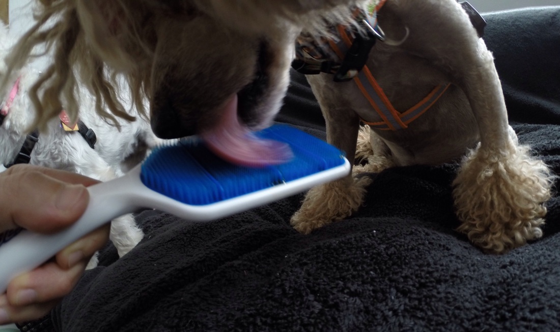 太阳成集团tyc7111cc_评论：马云“菜鸟网络”能否一飞冲天