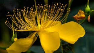 美媒称特朗普可能绕过国会发动伊朗战争,英国特种部队飞往中东!少女赌|太阳成集团tyc7111cc