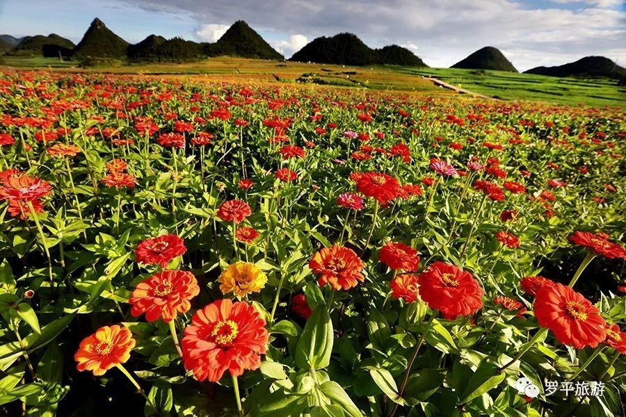 太阳成集团tyc7111cc