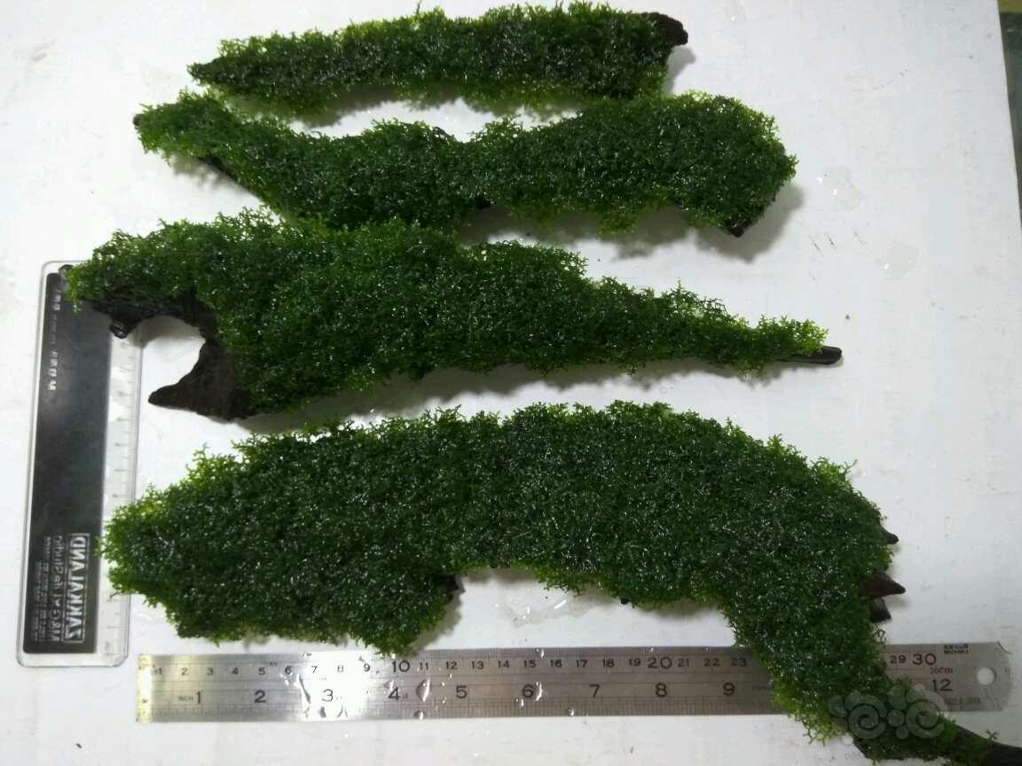 太阳成集团tyc7111cc