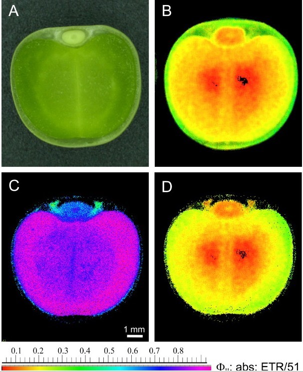 太阳成集团tyc7111cc