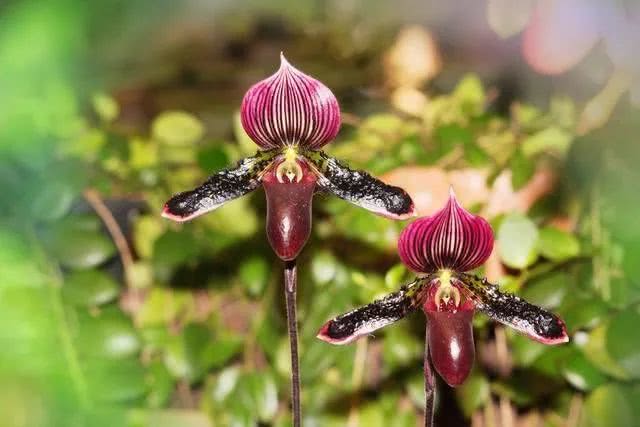 太阳成集团tyc7111cc