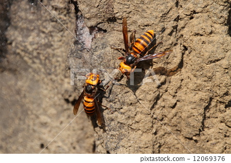 太阳成集团tyc7111cc