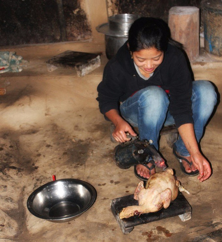 太阳成集团tyc7111cc